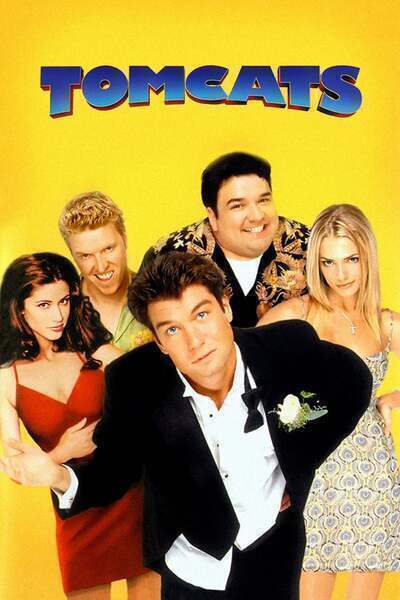 Tomcats Hindi Dubbed Movie Poster (2001)