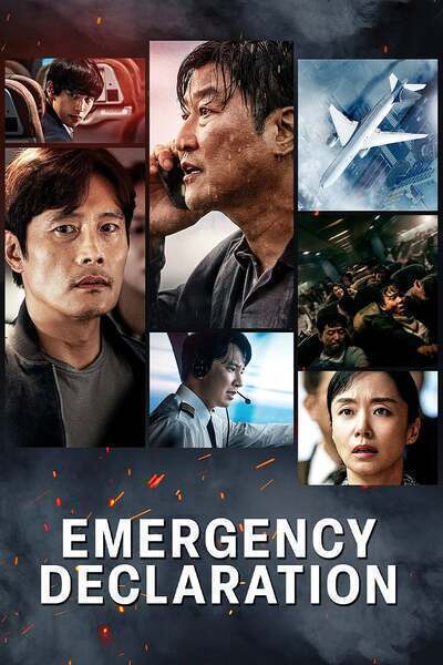 Emergency Declaration Hindi Dubbed Movie Poster (2021)