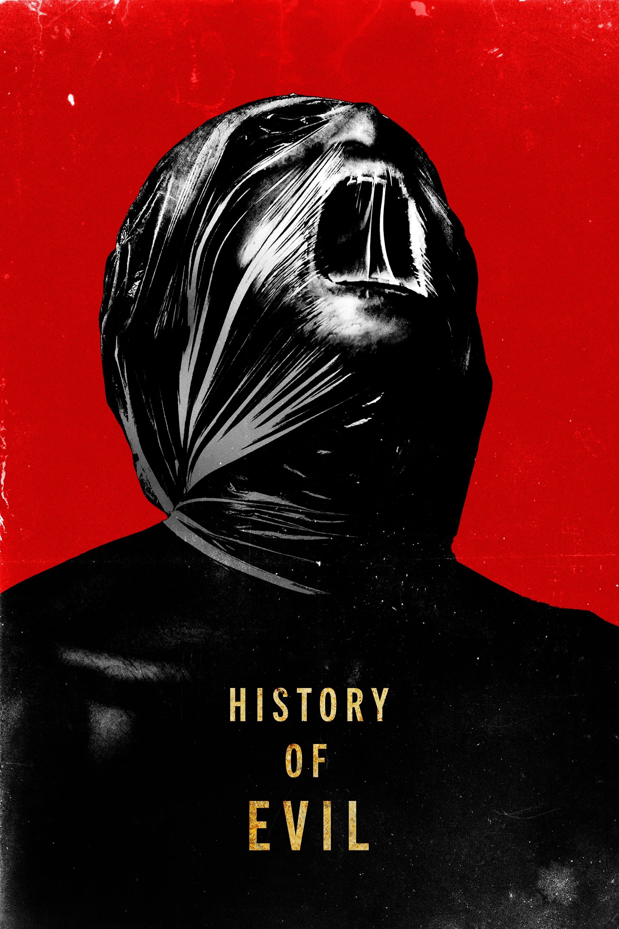 History of Evil Hindi Dubbed Movie Poster (2024)