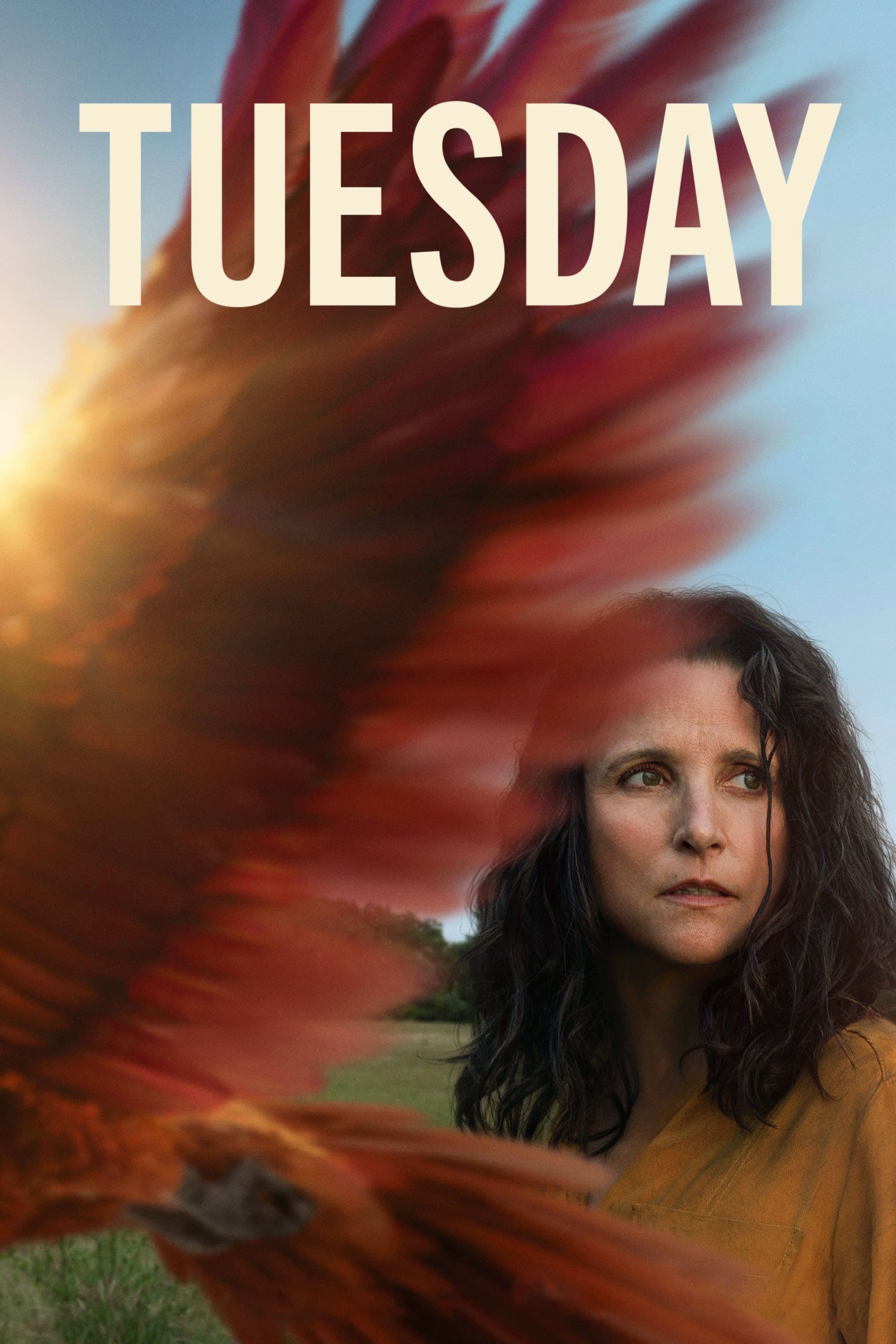 Tuesday Hindi Dubbed Movie Poster (2024)