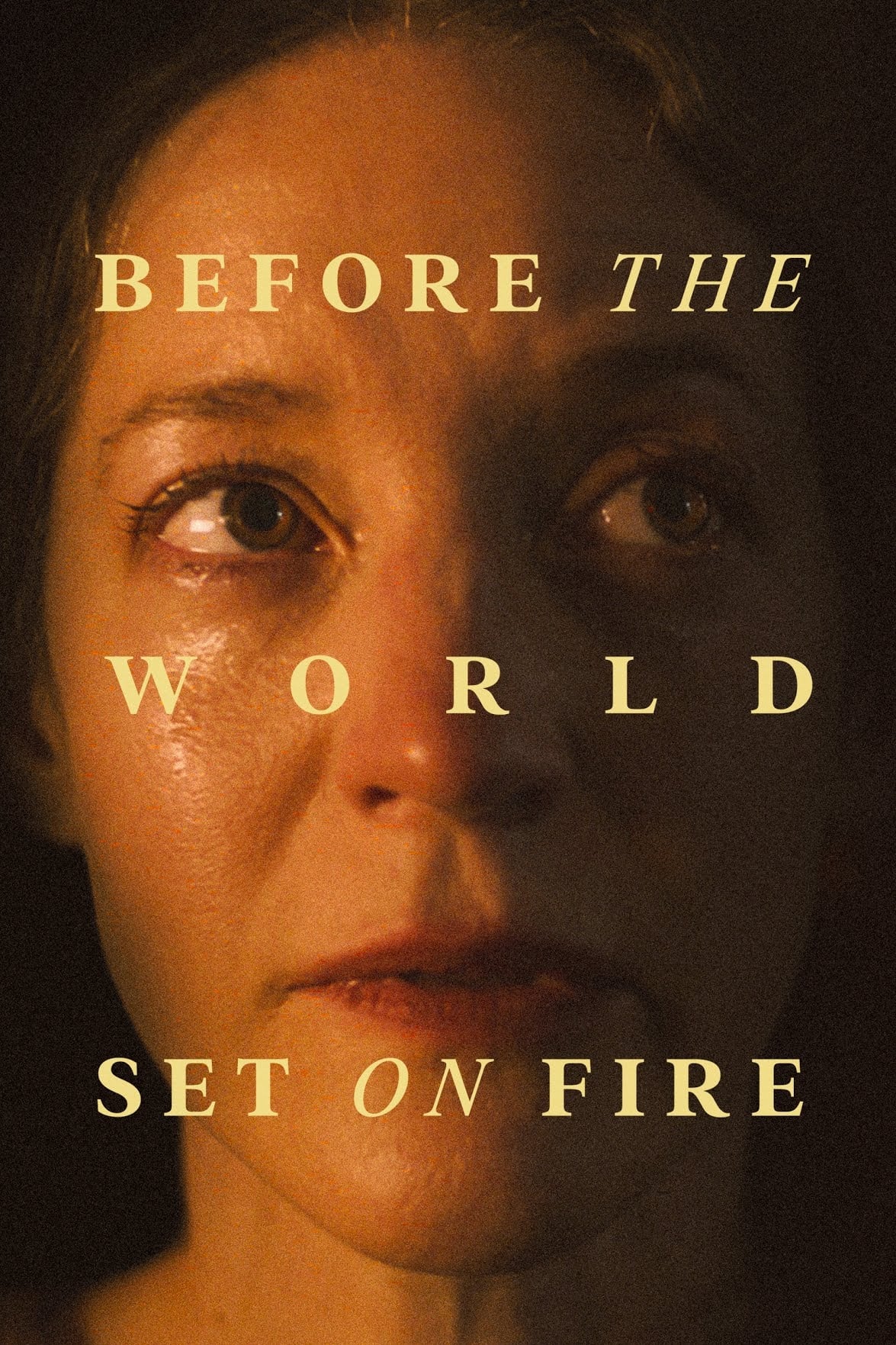 Before the World Set on Fire Hindi Dubbed Movie Poster (2023)