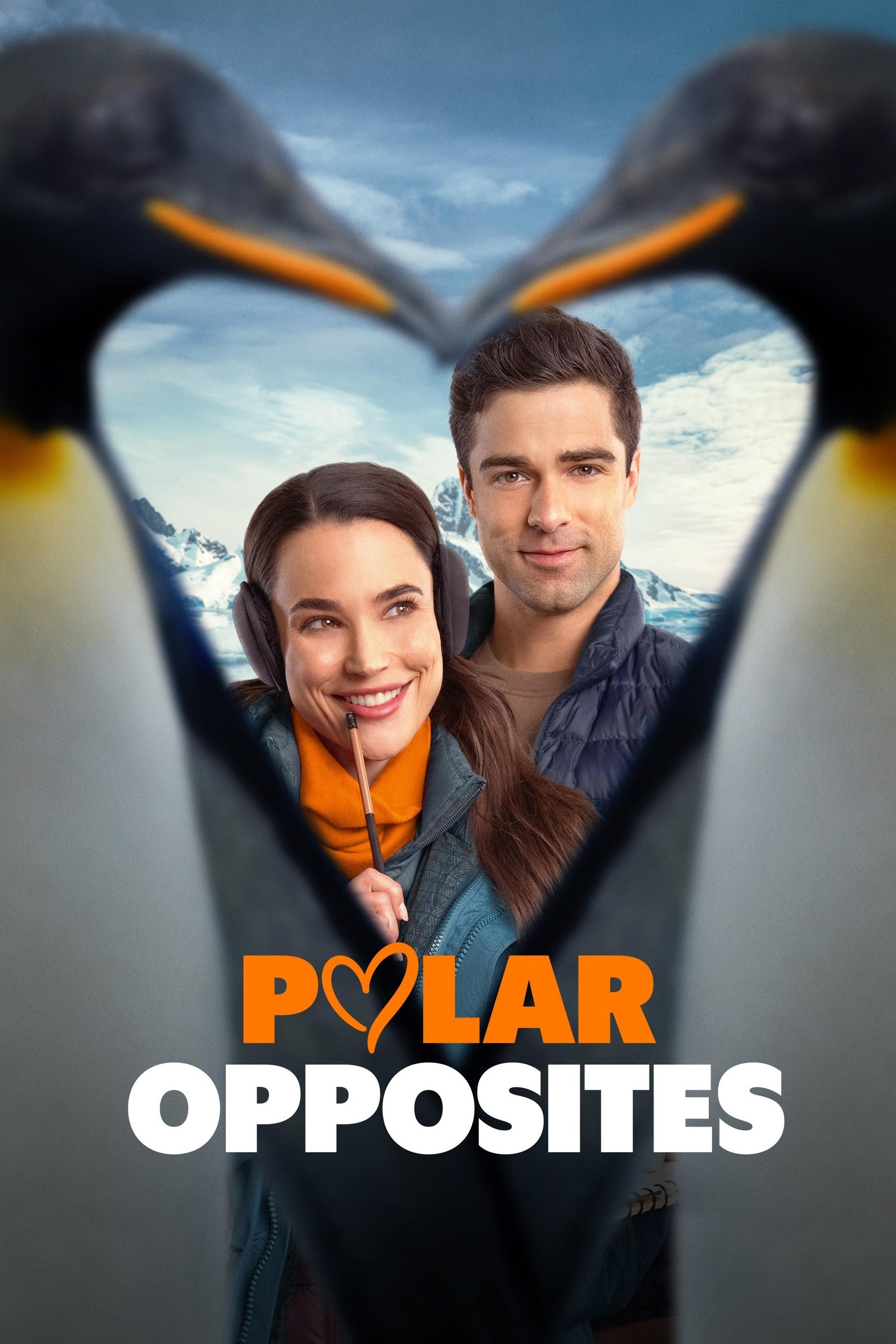 Polar Opposites Hindi Dubbed Movie Poster (2025)