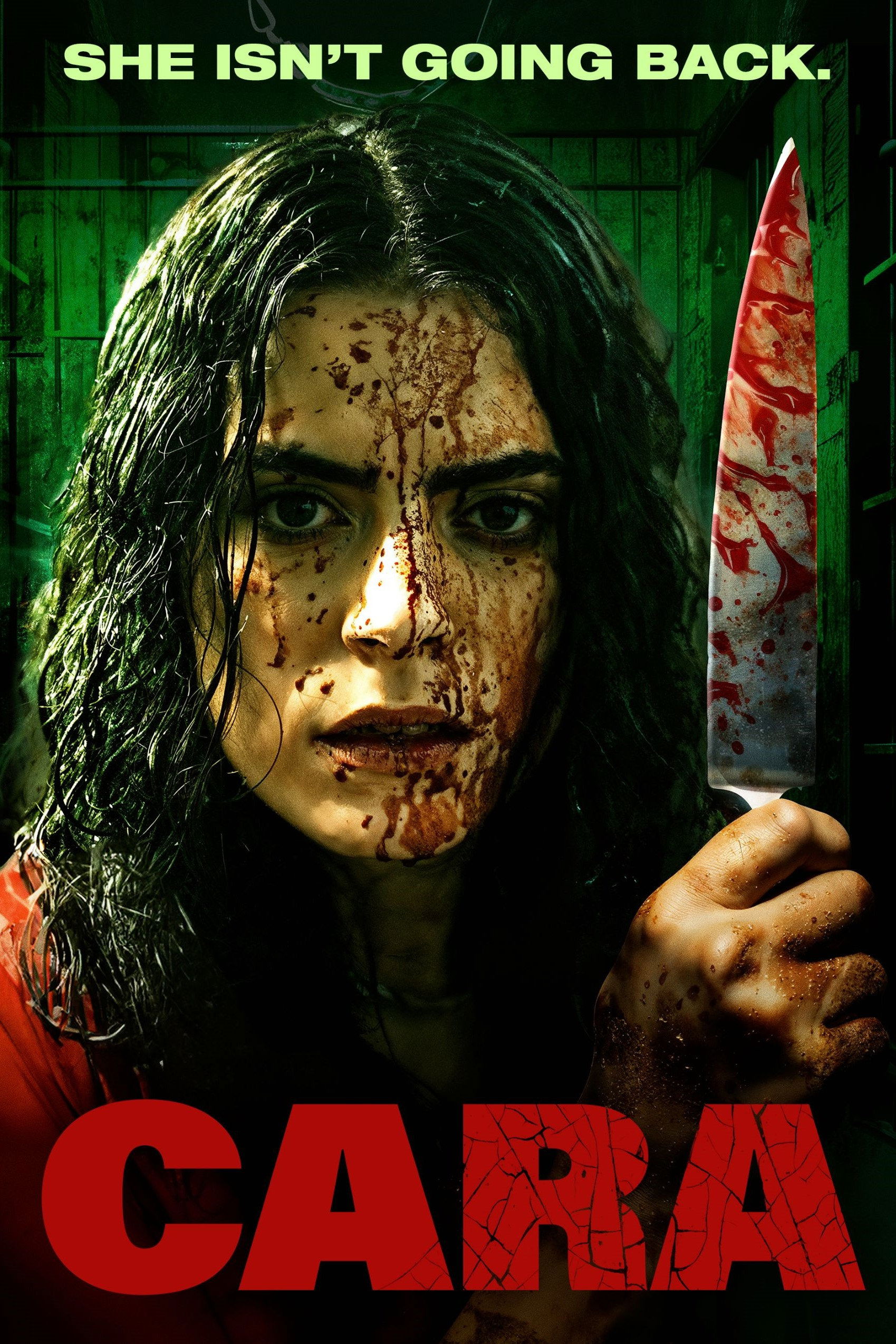 Cara Hindi Dubbed Movie Poster (2024)