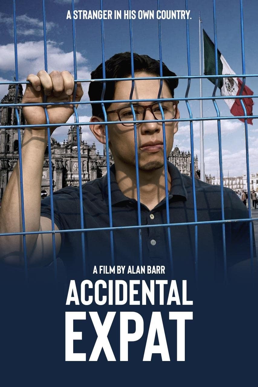 Accidental Expat Hindi Dubbed Movie Poster (2024)