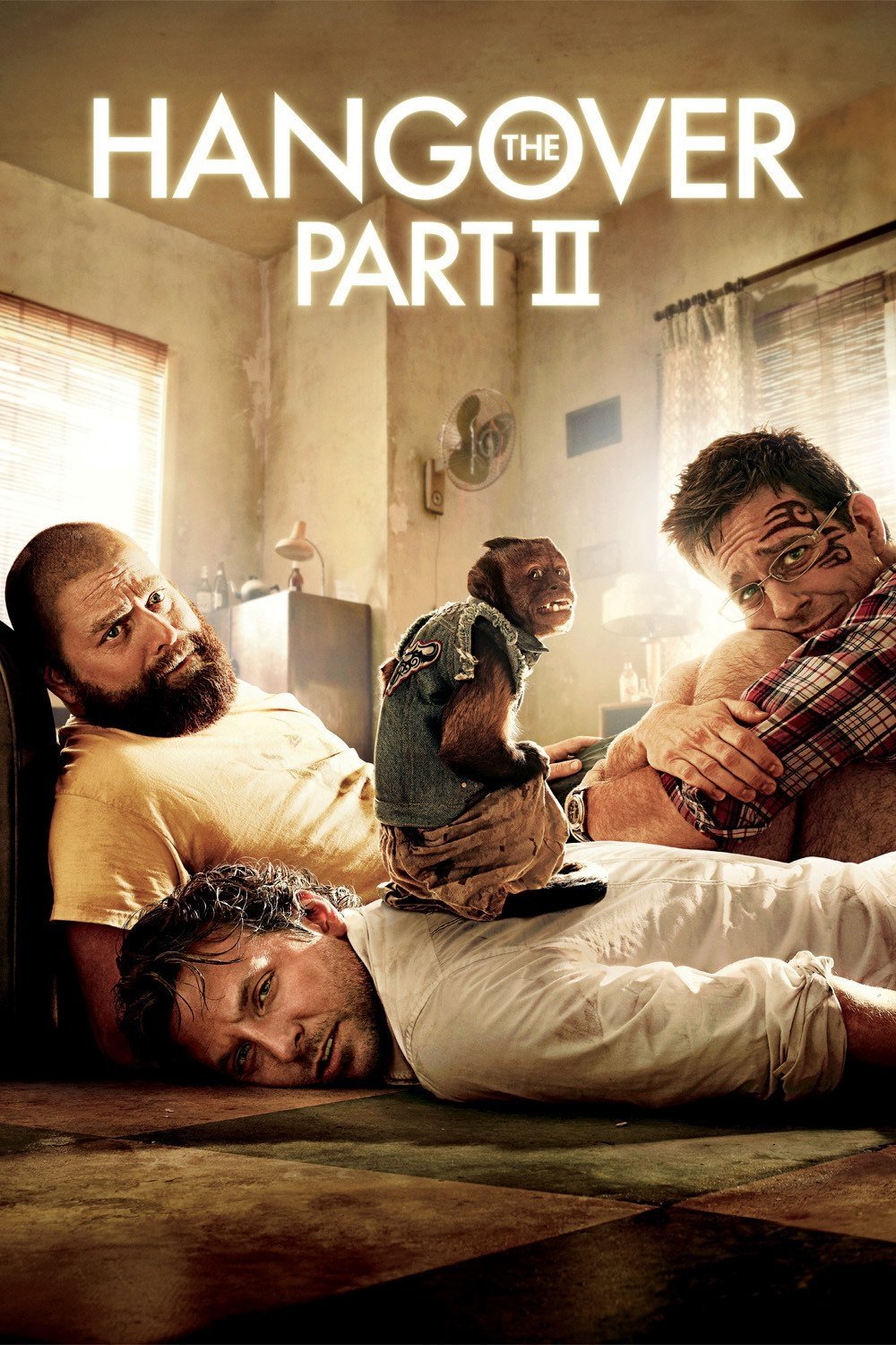 The Hangover Part II Hindi Dubbed Movie Poster (2011)