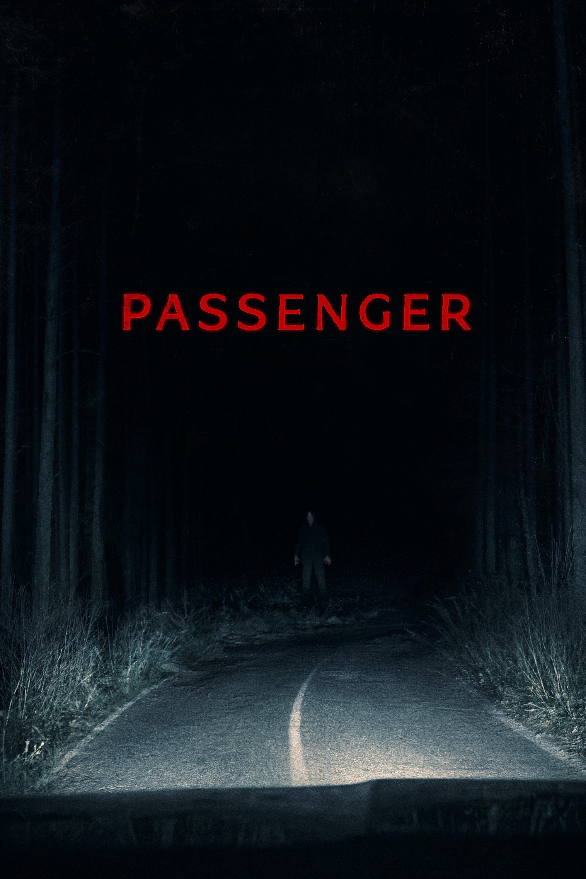 Passenger Hindi Dubbed Movie Poster (2026)