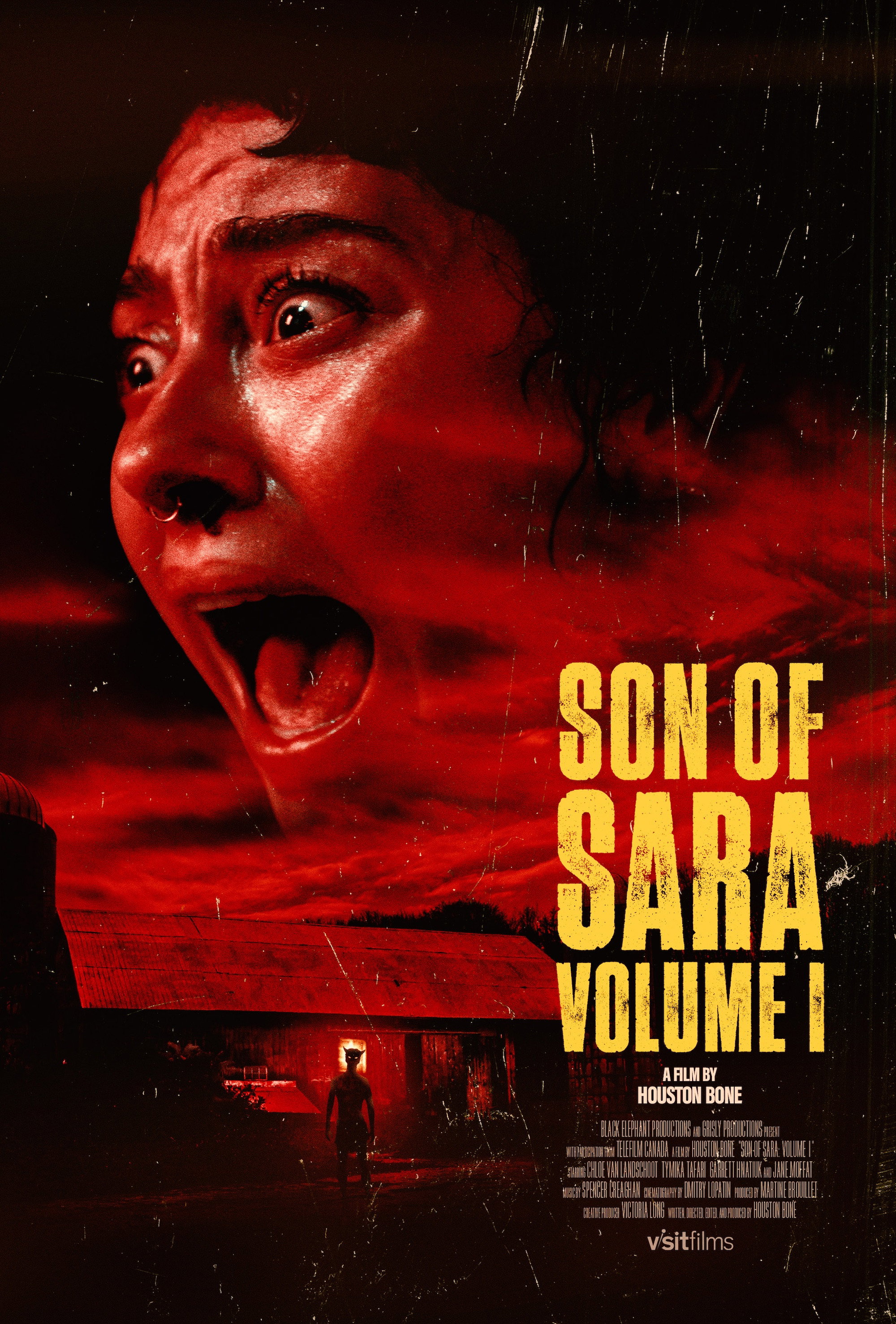 Son of Sara Hindi Dubbed Movie Poster (2025)